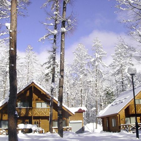 Log Cottage Epoch Hakuba Buitenkant foto