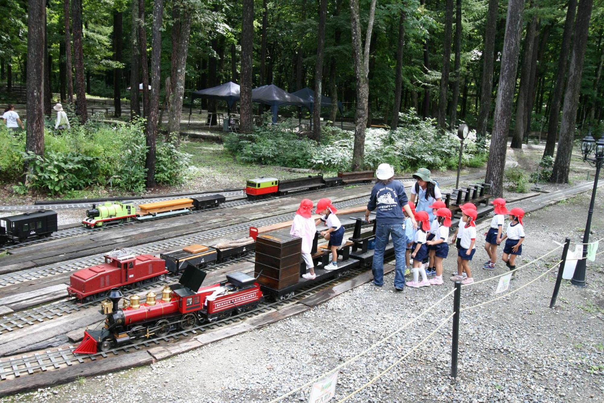 Log Cottage Epoch Hakuba Buitenkant foto